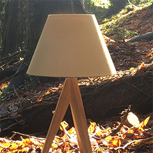 An empire light shade on tripod table lamp in a woodland setting