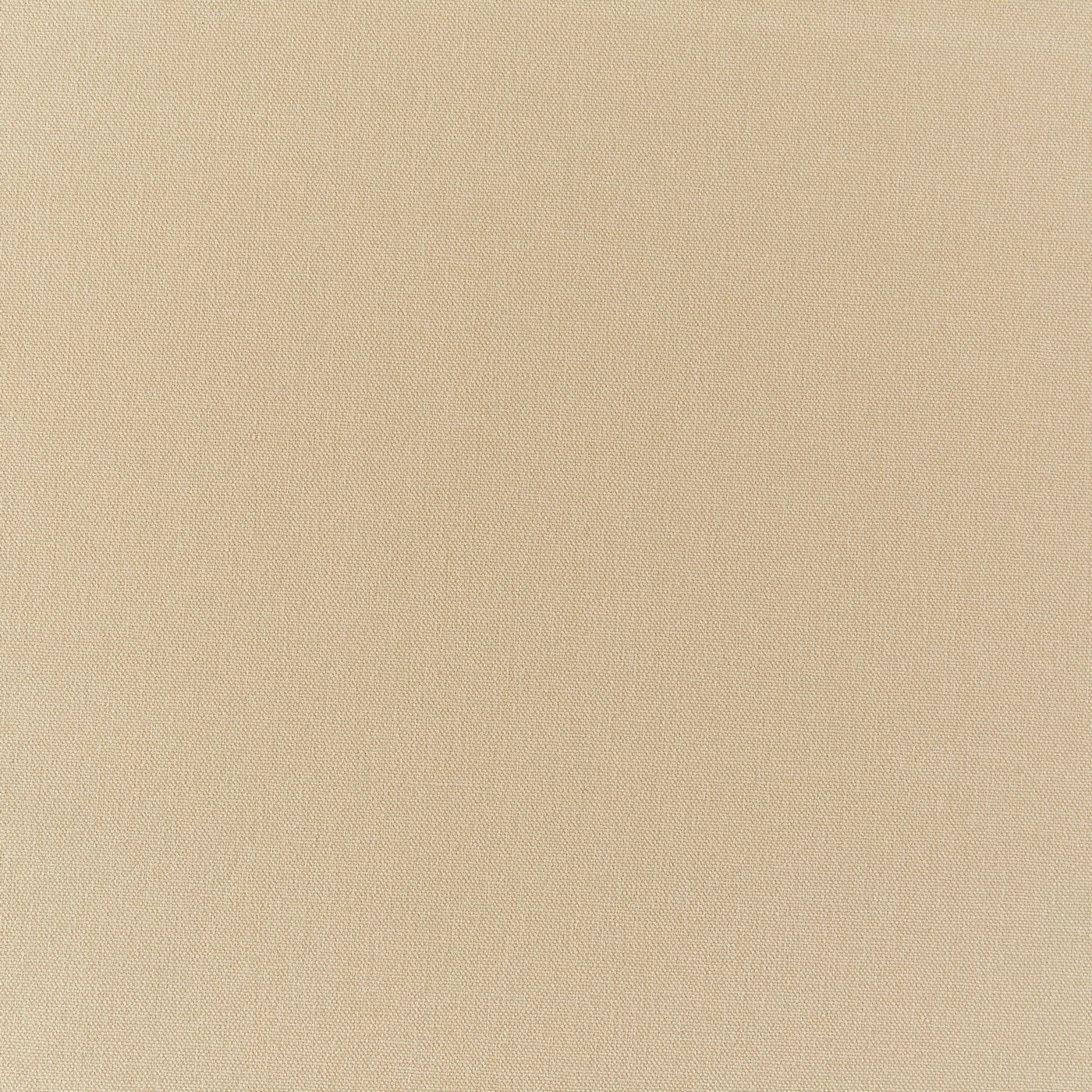 Fawn Brushed Cotton Swatch