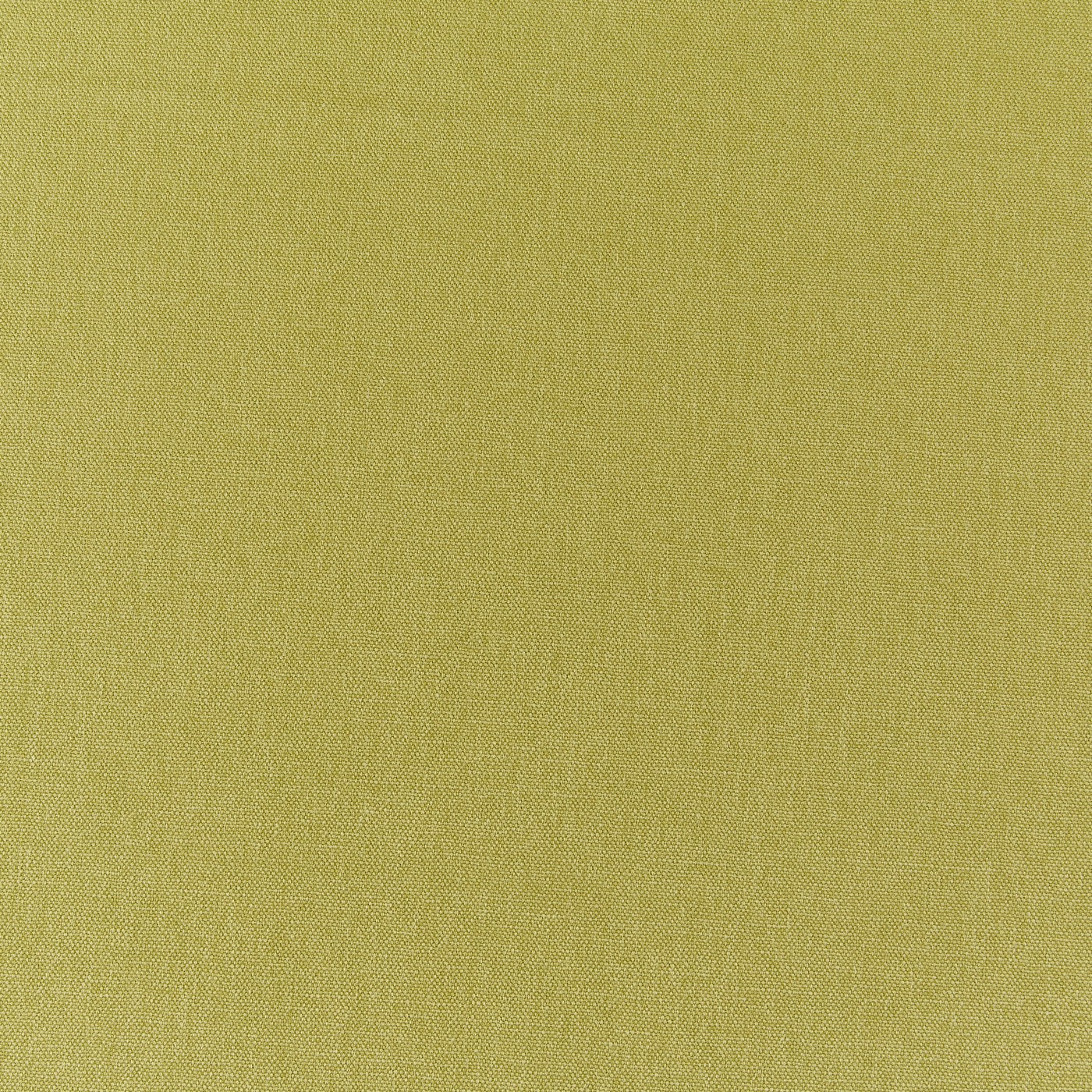 Kiwi Brushed cotton Swatch