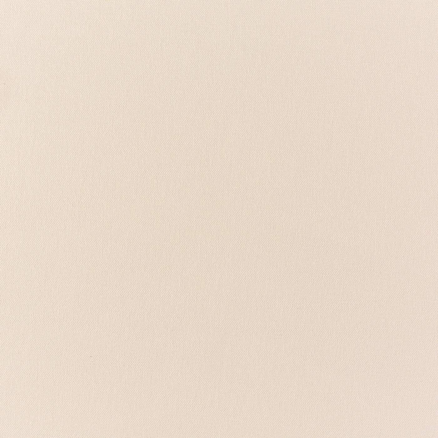 Cream Brushed Cotton Swatch
